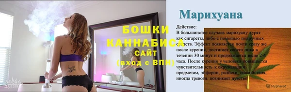 индика Дмитриев