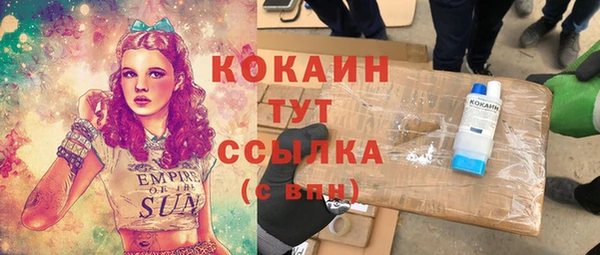 индика Дмитров
