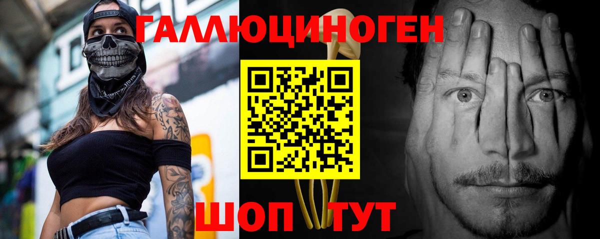 купить   Галлюциногенные грибы GOLDEN TEACHER  Галлюциногенные грибы Psilocybe  Вход с VPN  Юрга 